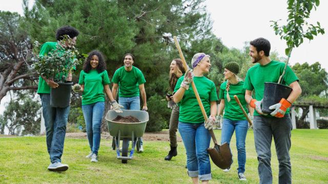 一群穿着绿色衬衫的全球最大体育平台拿着铲子和手推车准备植树